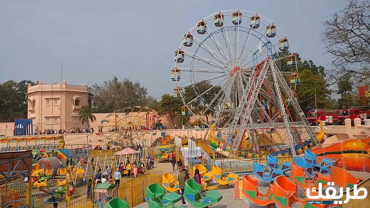 اماكن ترفيه في الطائف للاطفال وأجمل الاماكن السياحية الجديده 1445 5 اماكن ترفيه في الطائف للاطفال وأجمل الاماكن السياحية الجديده